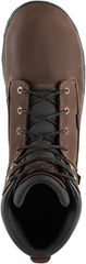 Caliper  6" Brown MET/AT / Danner Men