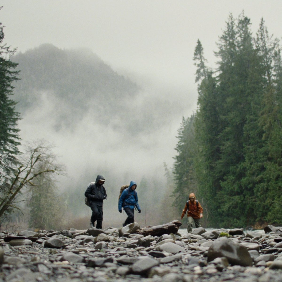 N45 GTX Trillium / Danner Men