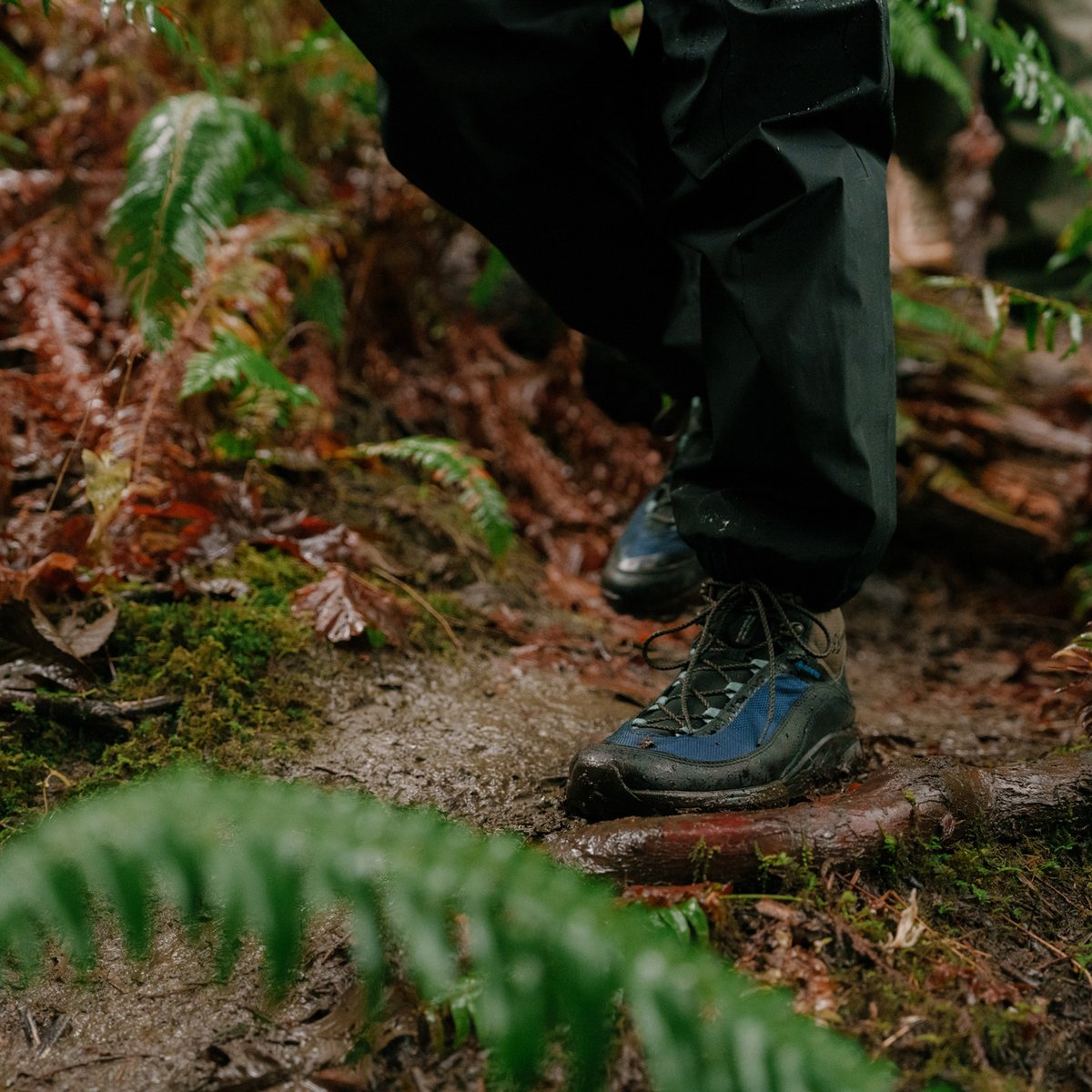 N45 GTX Jet Black/Imperial Blue / Danner Men