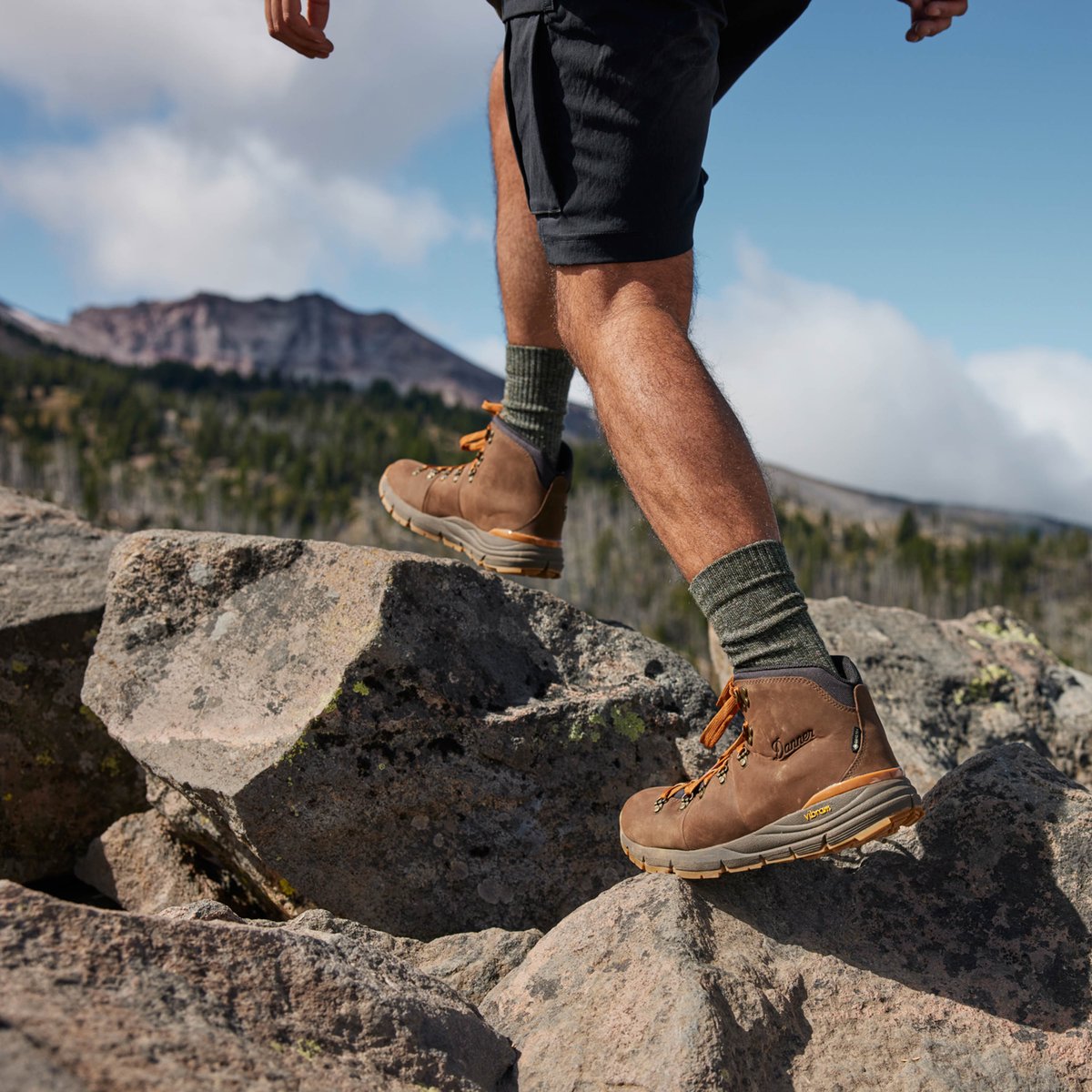 Mountain 600 Leaf GTX Loam Brown/Glazed Ginger / Danner Men