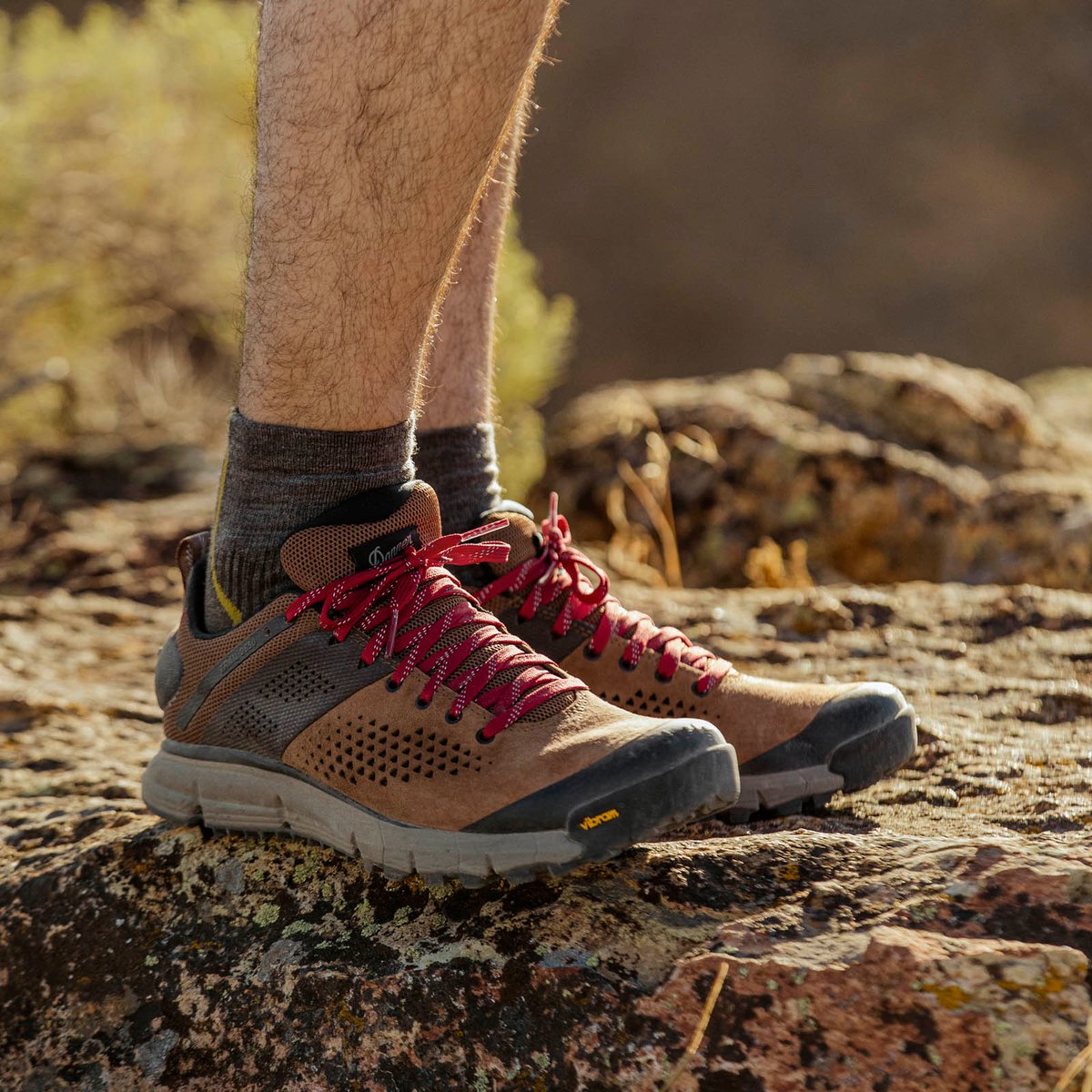 Trail 2650 Brown/Red / Danner Men