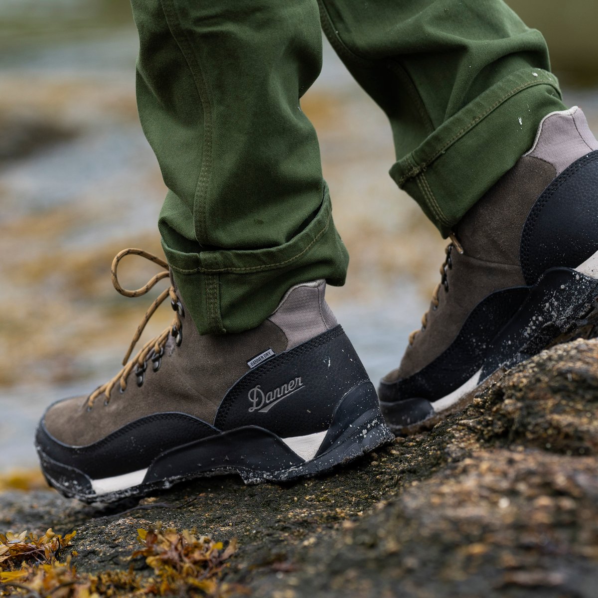 Panorama Mid 6" Black Olive / Danner Men
