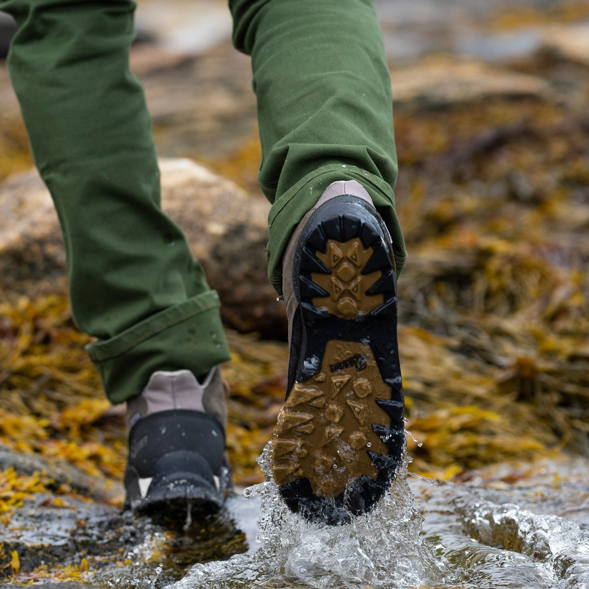 Panorama Mid 6" Black Olive / Danner Men