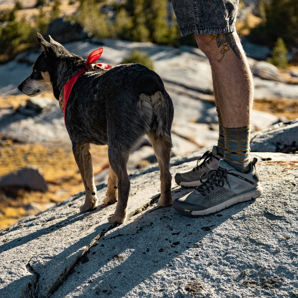 Trail 2650 Charcoal/Goblin Blue / Danner Men