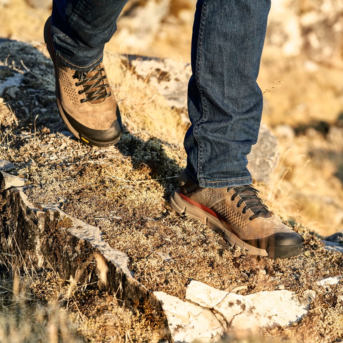 Trail 2650 GTX Mid Dusty Olive / Danner Men