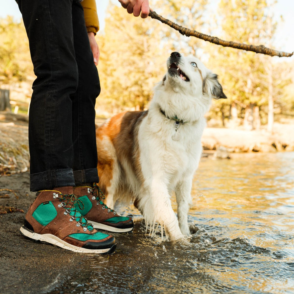 Free Spirit Dark Earth / Danner Men