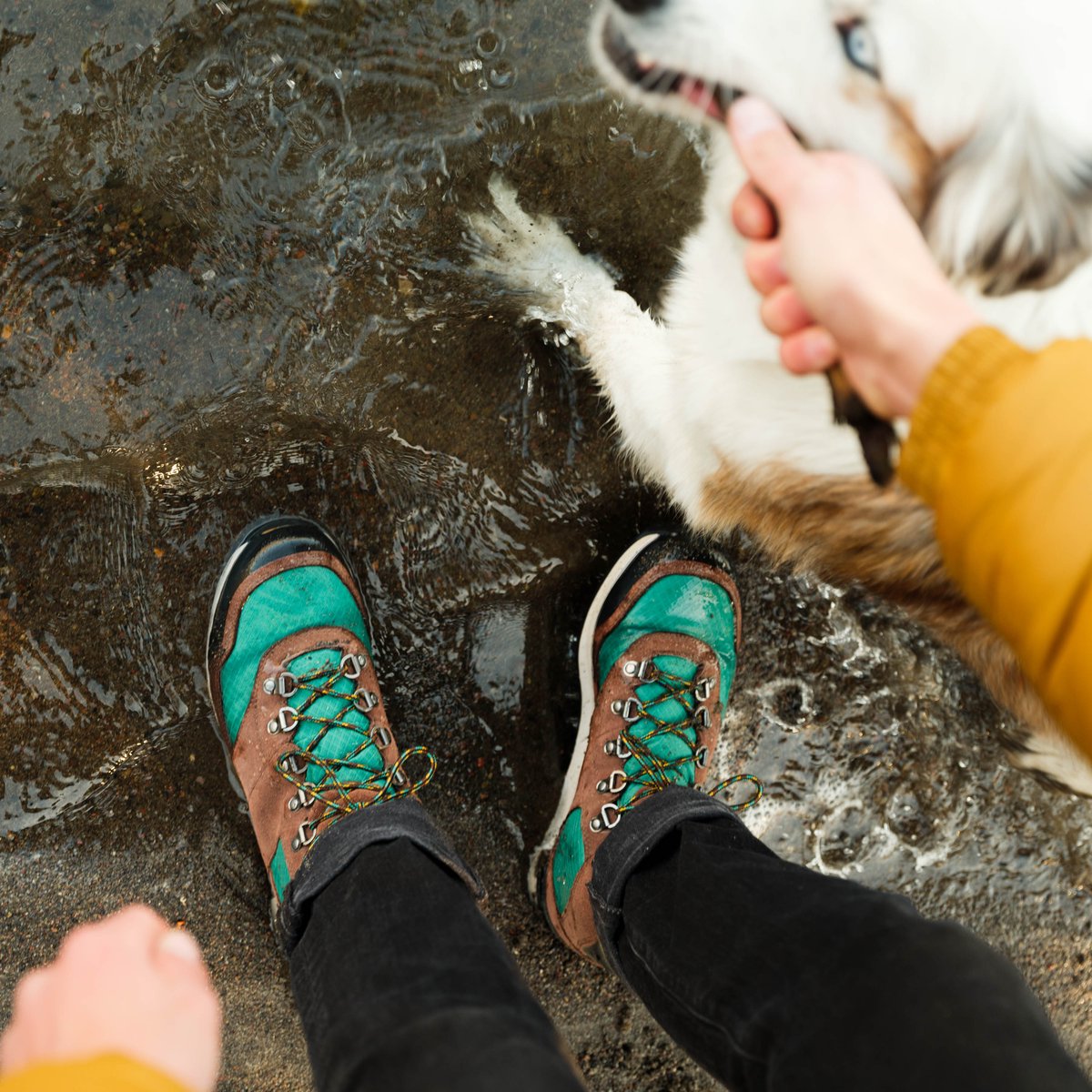 Free Spirit Dark Earth / Danner Men
