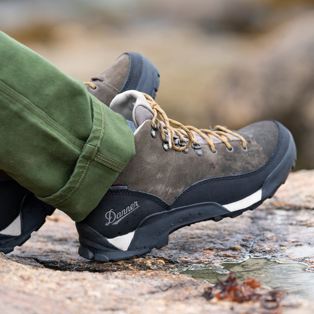 Panorama Low 4" Black Olive / Danner Men
