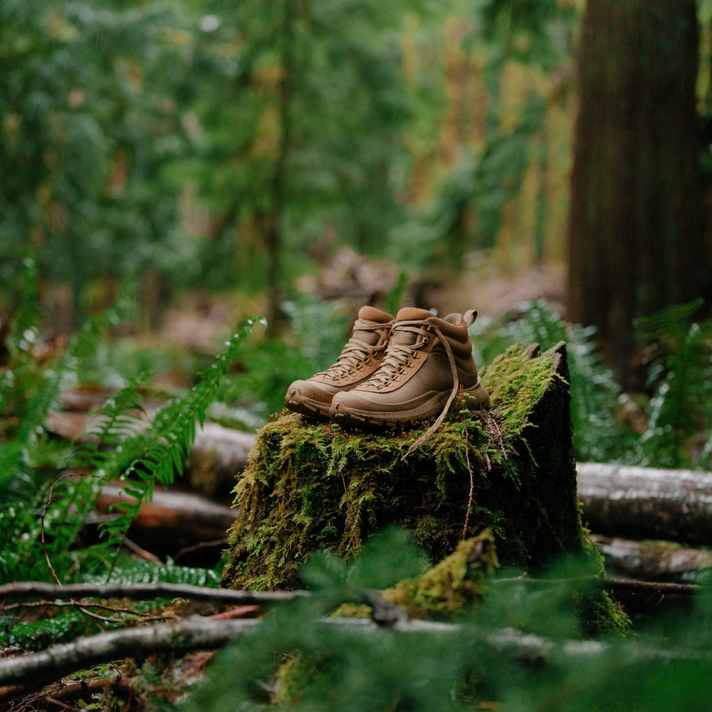 Trail Trainer Coyote / Danner Men