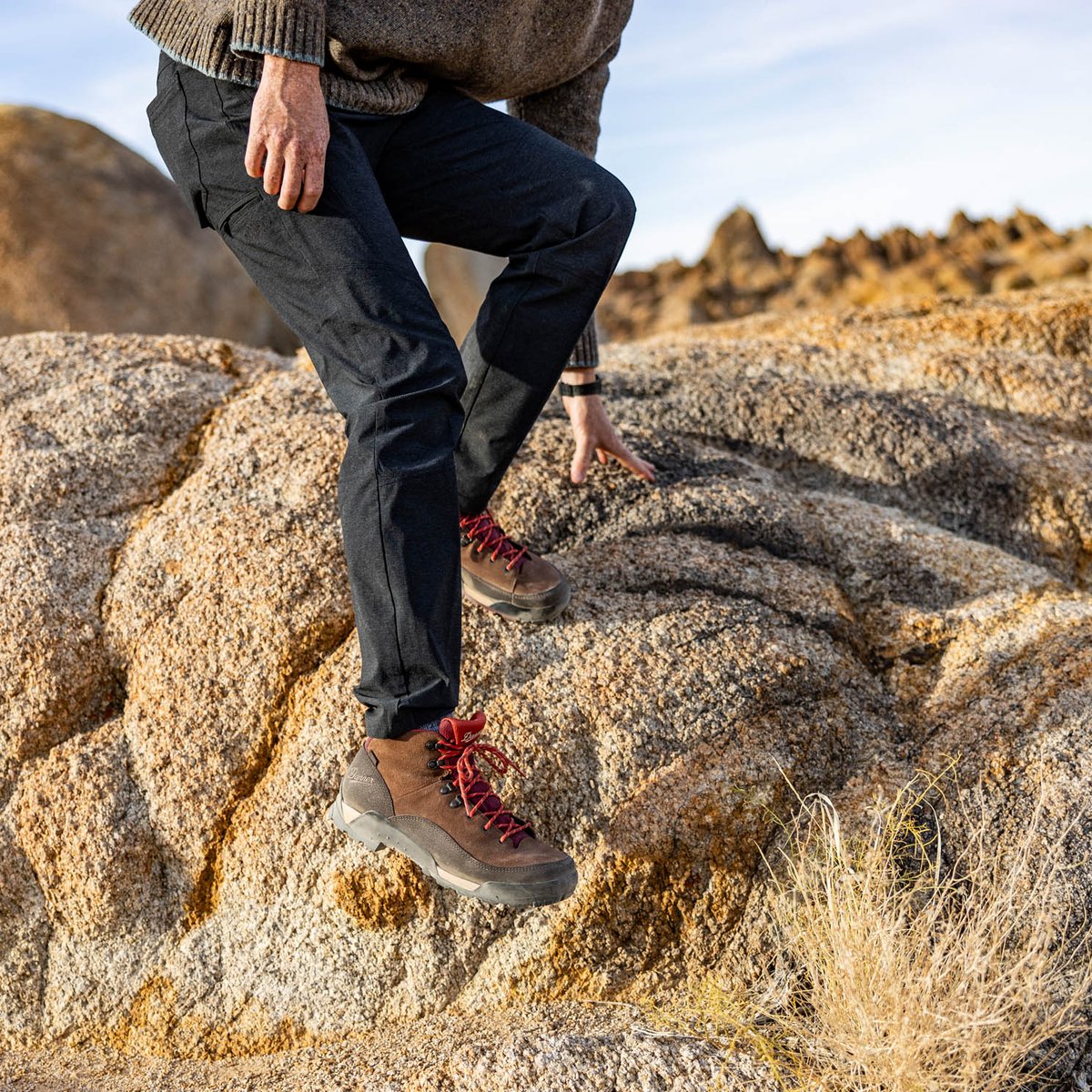 Panorama Mid Pinecone Brown/Bossa Nova / Danner Men
