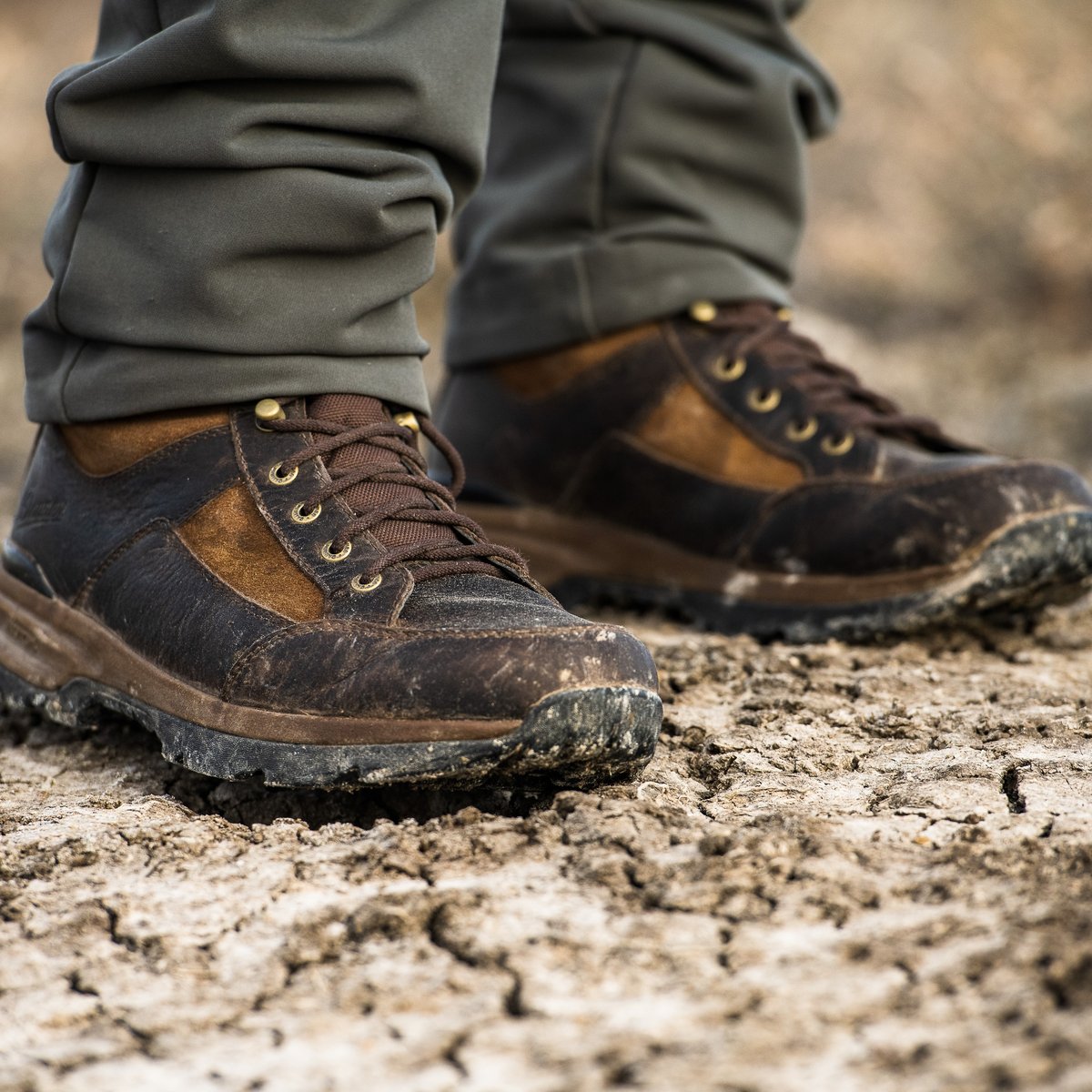 Recurve Brown / Danner Men