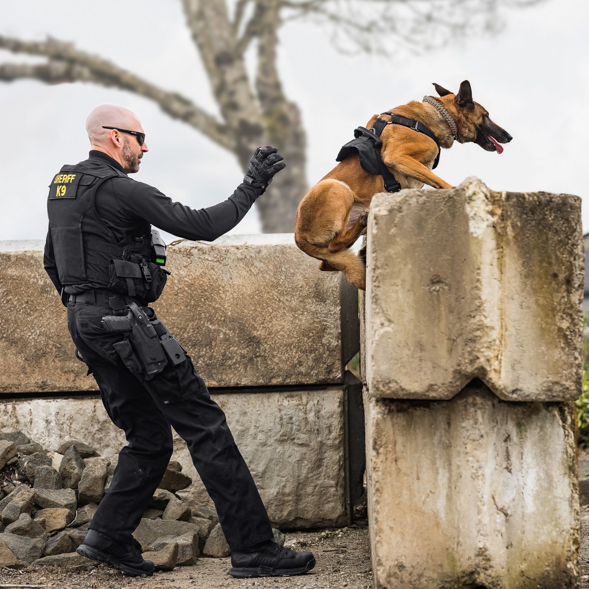 Striker Bolt 4.5" Black / Danner Men