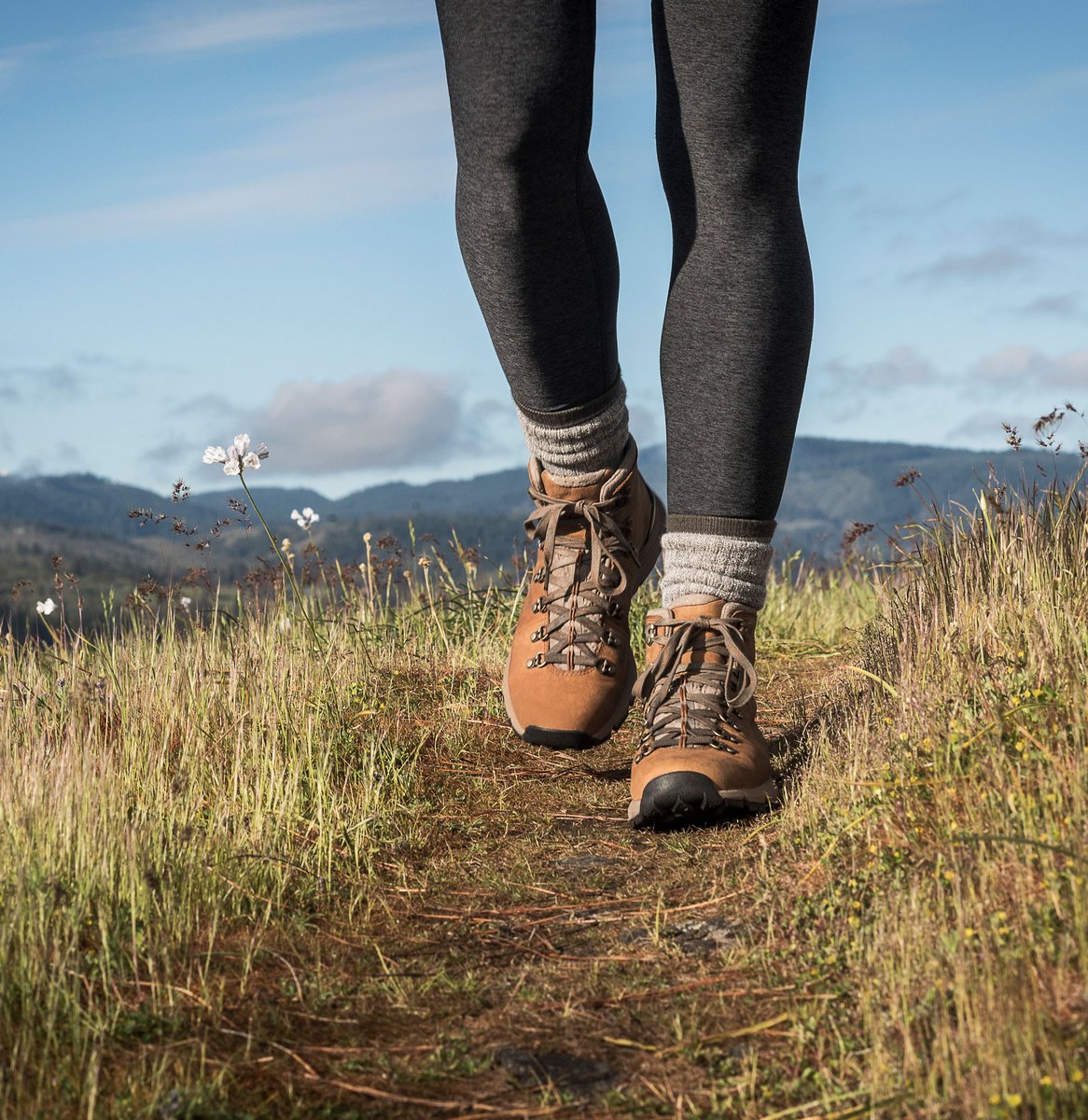 Mountain 600 Rich Brown / Danner Women