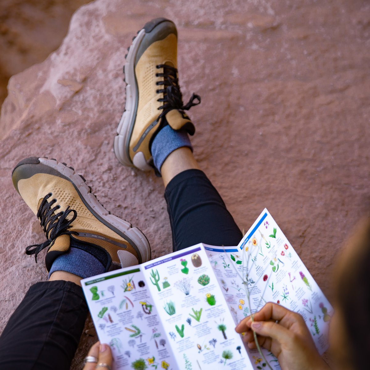 Trail 2650 GTX Prairie Sand/Gray / Danner Women