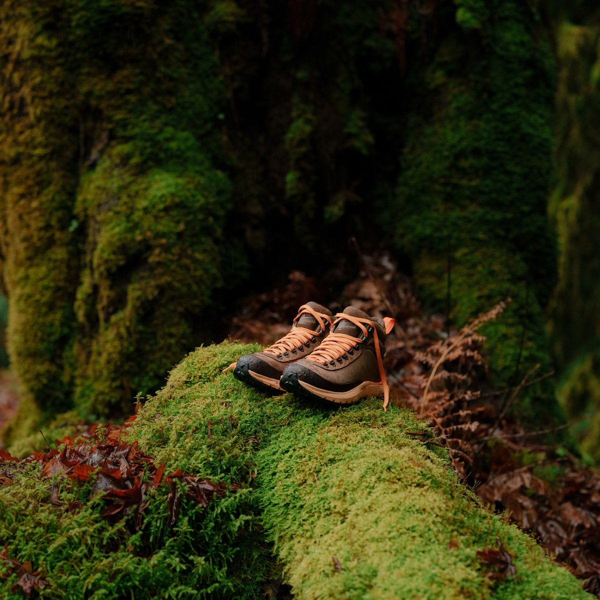 Trail Trainer Malt Brown/Orange Peel / Danner Women