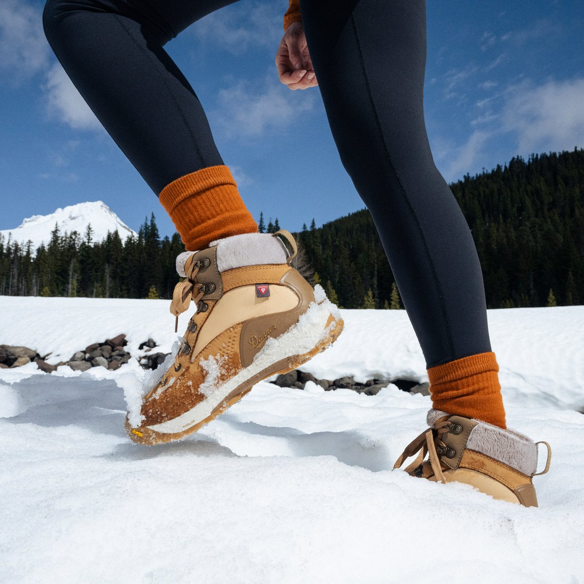 Inquire Winter Bone Brown/Coyote 200G / Danner Women