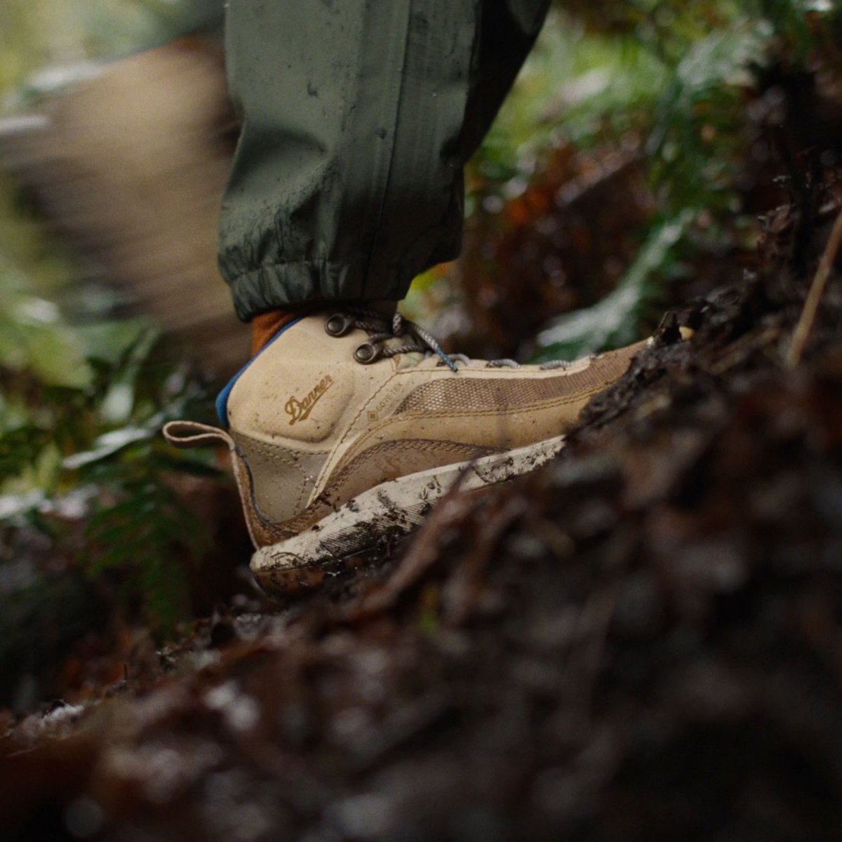 N45 GTX Desert Dusk / Danner Women