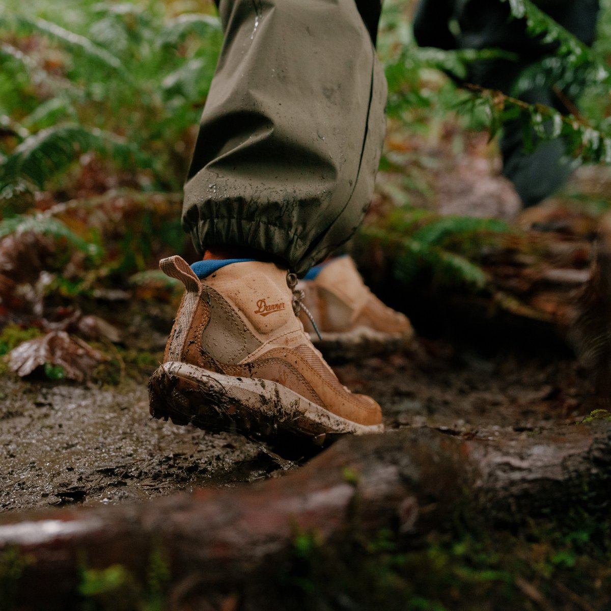 N45 GTX Desert Dusk / Danner Women