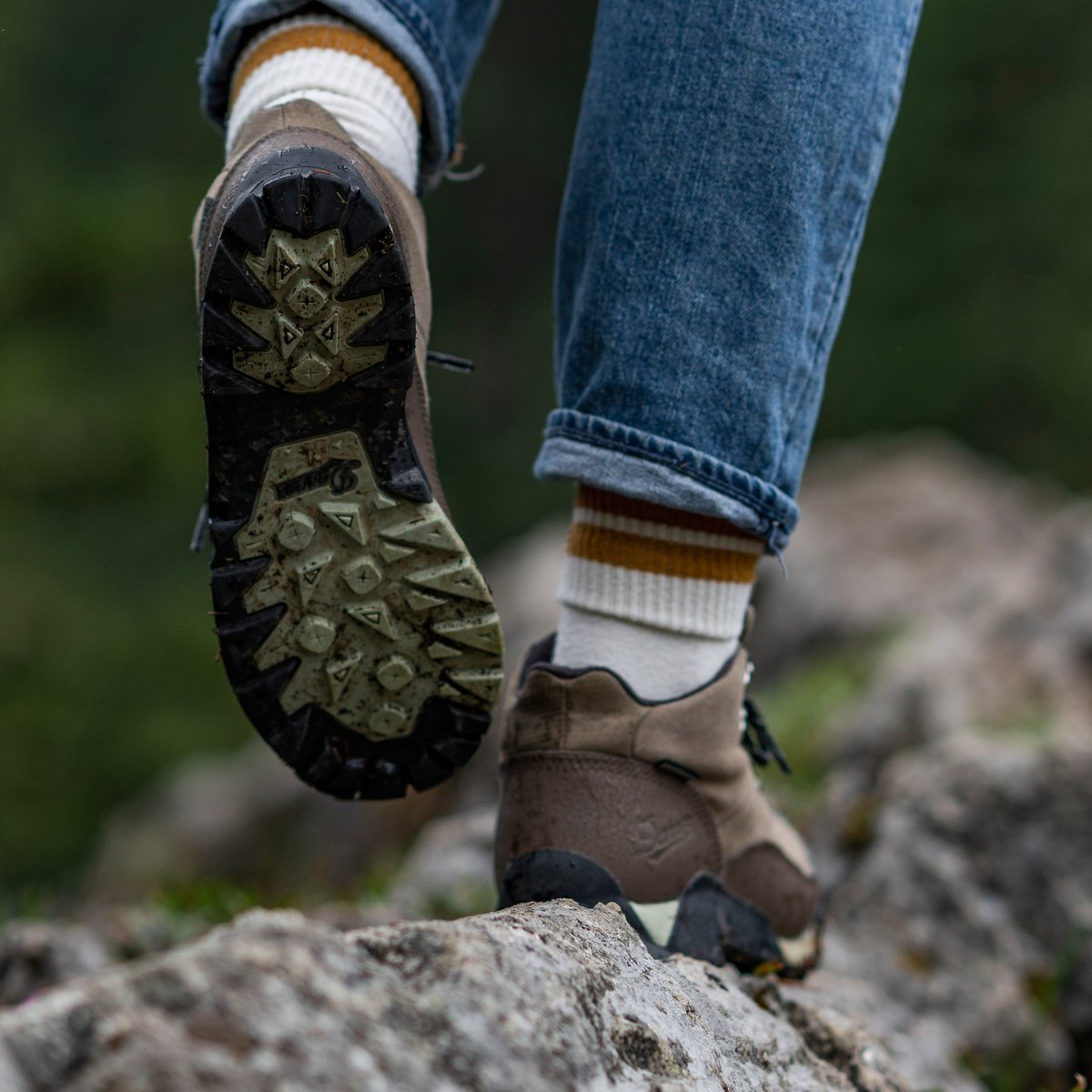 Panorama Mid 6" Gray / Danner Women