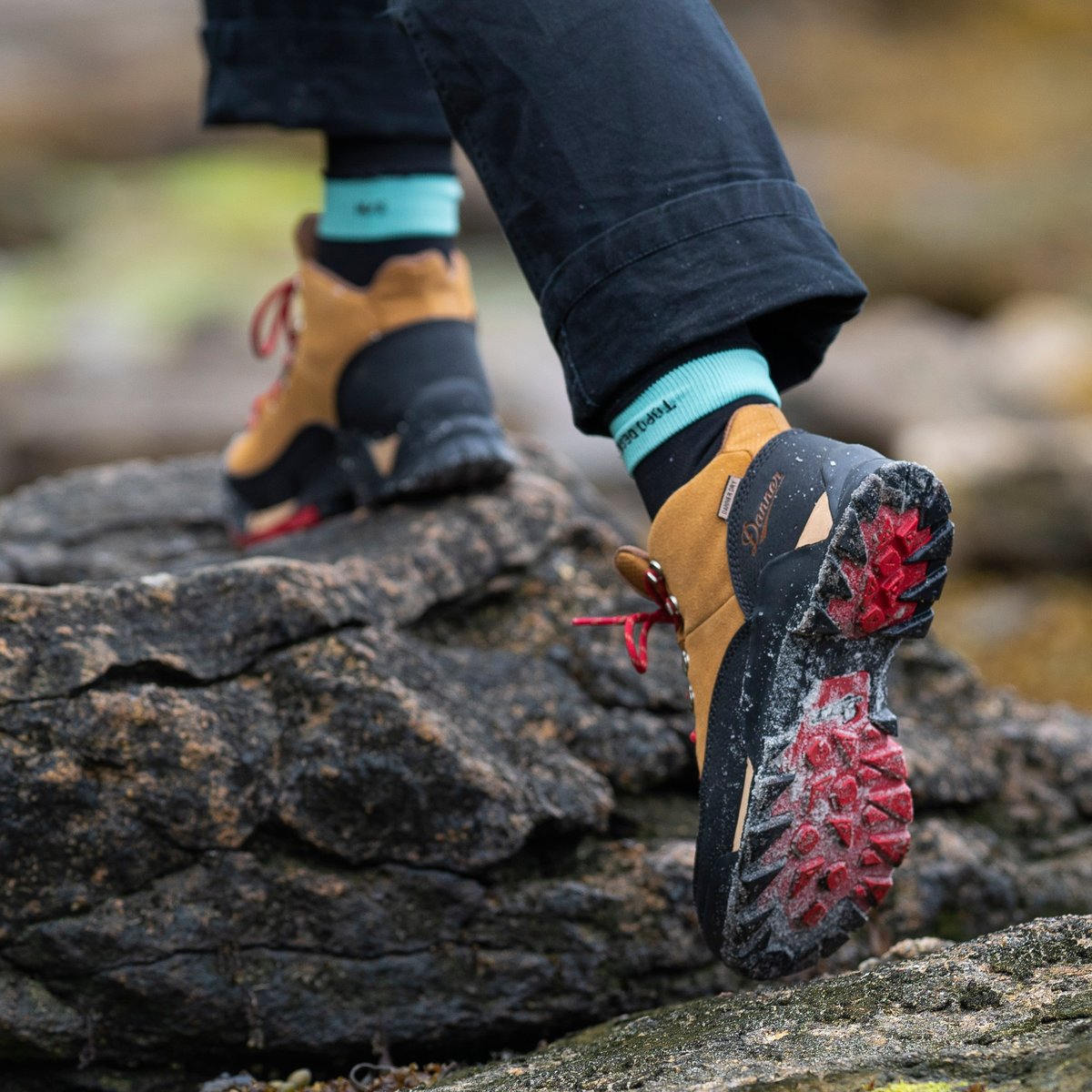 Panorama Mid 6" Brown/Red / Danner Women