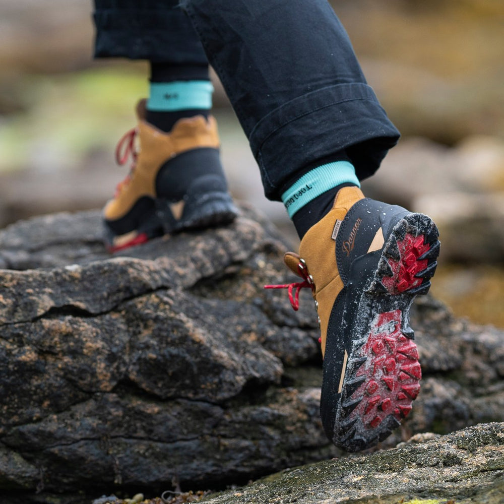 Panorama Mid 6" Brown/Red / Danner Women