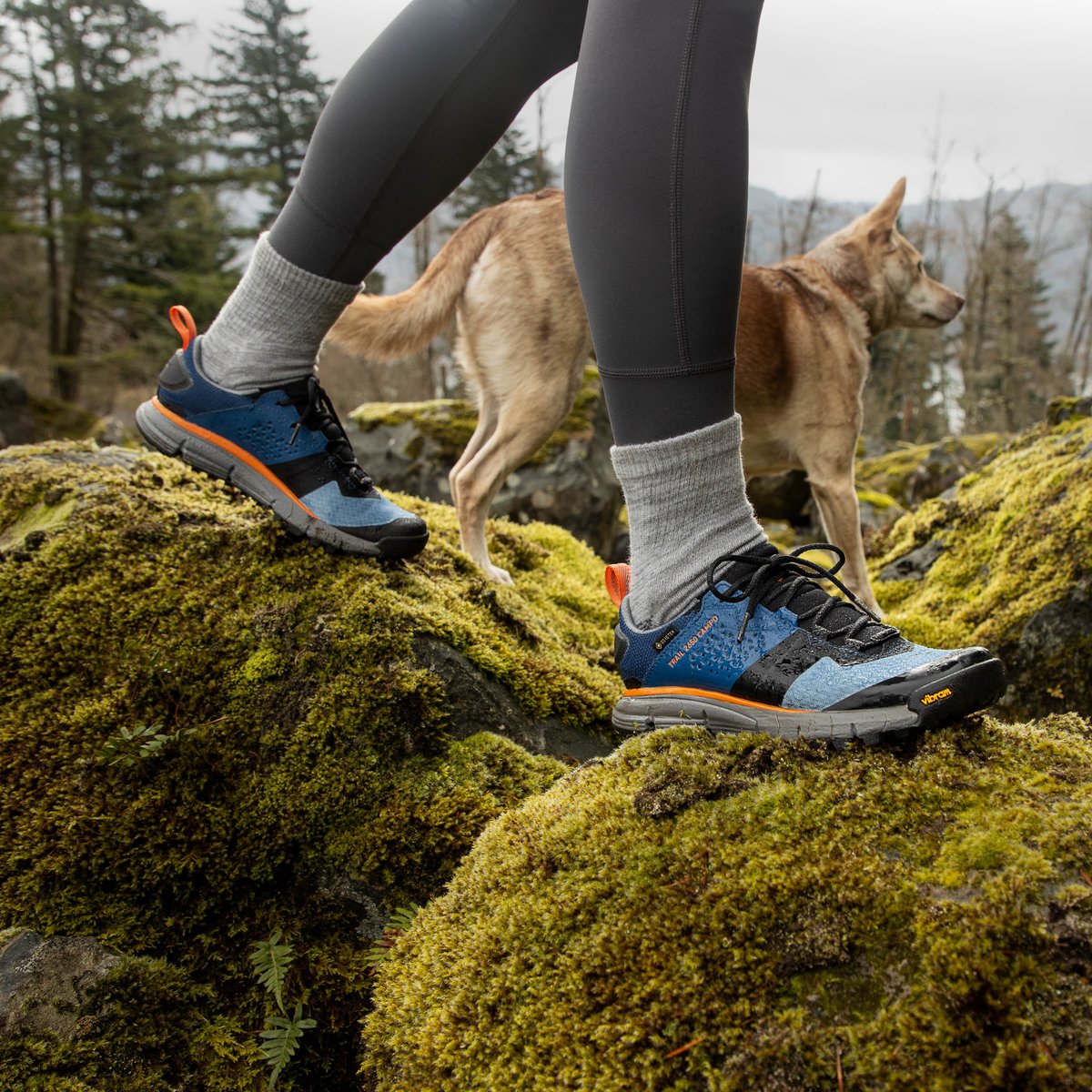 Trail 2650 Campo GTX Blue/Orange / Danner Women